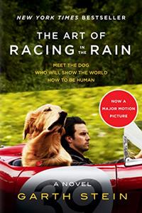 The Art of Racing In the Rain Book Summary, by Garth Stein The Art of Racing In the Rain Book Summary, by Garth Stein