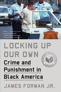 Locking Up Our Own Book Summary, by James Forman Jr.