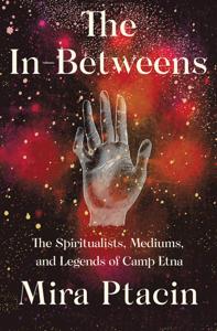 The In-Between Book Summary, by Mira Ptacin The In-Between Book Summary, by Mira Ptacin